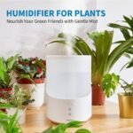 Clarston Humidifier & Oil Diffuser for Large Rooms - Image 3