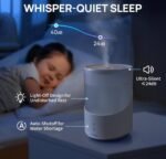 Clarston Humidifier & Oil Diffuser for Large Rooms - Image 5